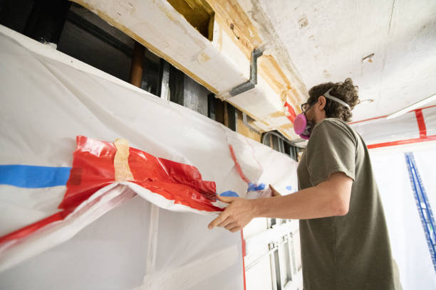 Mold Documentation for Insurance Claims in Evansville, IN