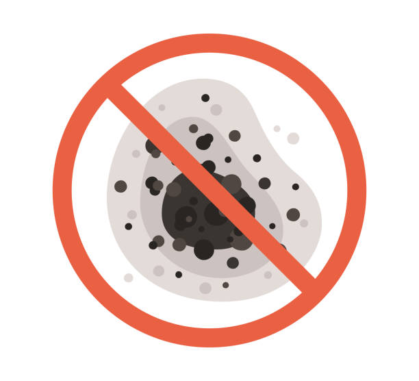 Best Basement Mold Removal  in Evansville, IN