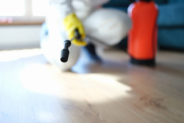 Mold Removal for HVAC Installations in Evansville, IN
