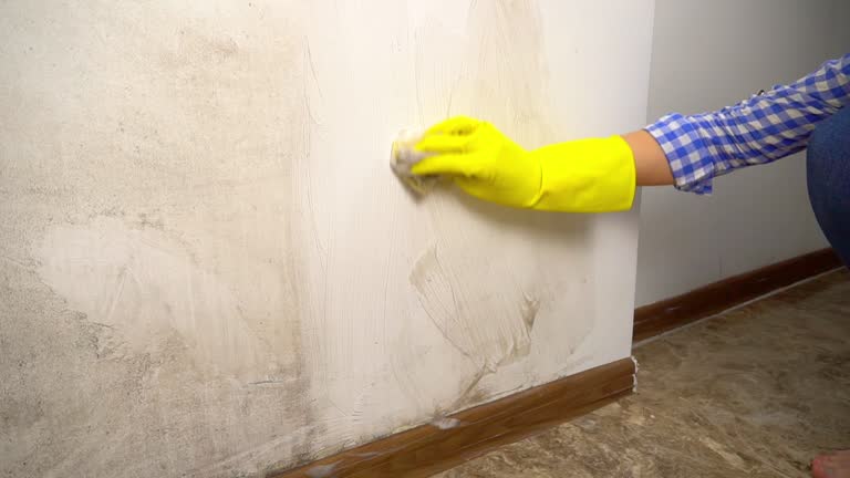 Best Asbestos and Lead Testing During Mold Inspection  in Evansville, IN