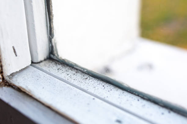 Best Indoor Air Quality Assessment  in Evansville, IN