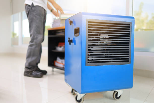Best Mold Remediation for Healthcare Facilities  in Evansville, IN