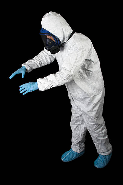 Best Mold Damage Restoration  in Evansville, IN