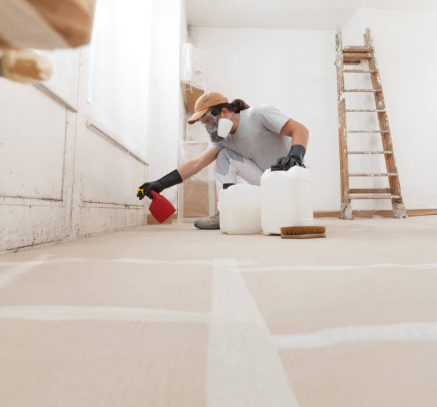 Best Biohazard Mold Removal  in Evansville, IN