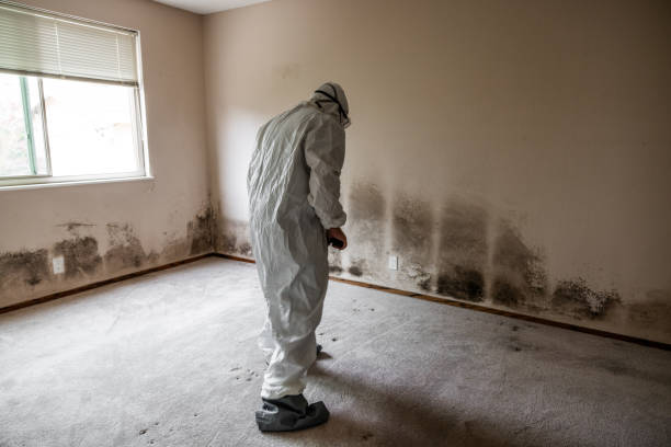 Best Residential Mold Inspection & Testing  in Evansville, IN