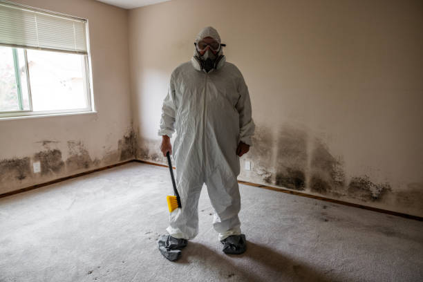 Best Post-Construction Mold Inspection  in Evansville, IN